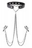 Sportsheets Sm amor collar with nipple jewelry